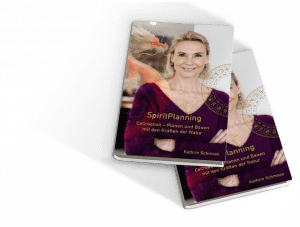 sp-buch-cover