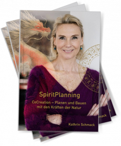 sp-buch-cover